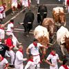 Španělsko, Pamplona, San Fermin, bejci