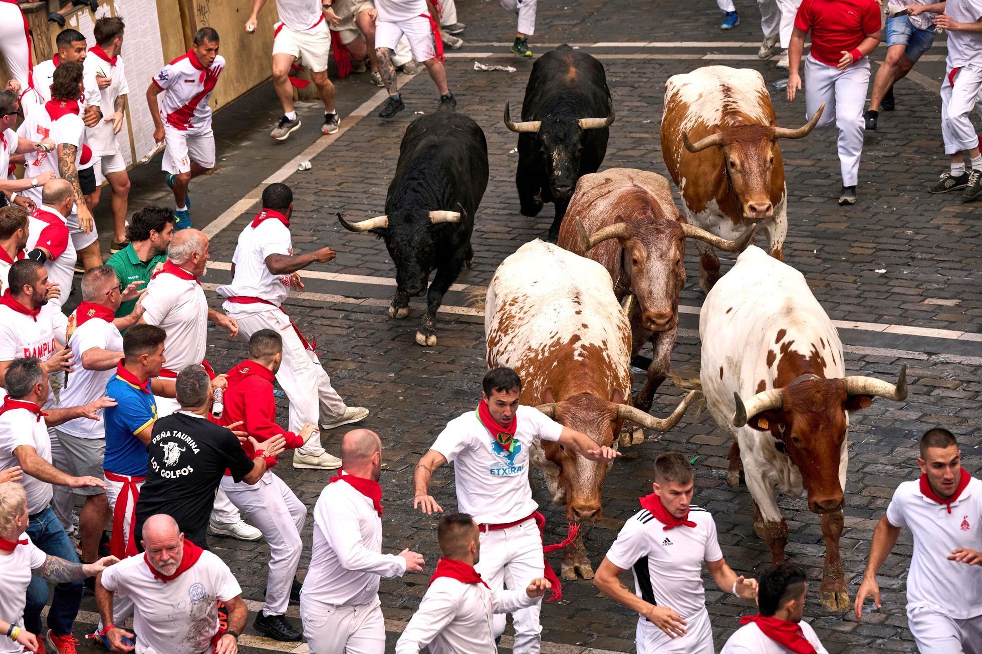 Španělsko, Pamplona, San Fermin, bejci