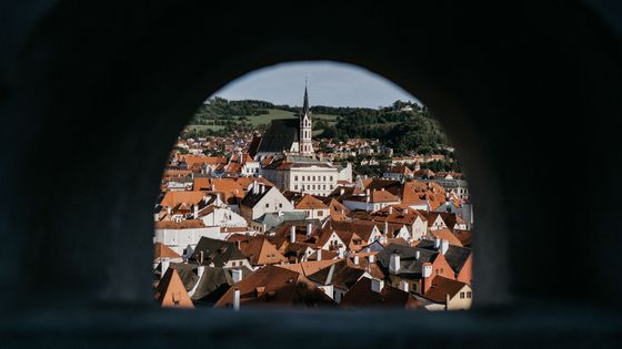 "Je tu hnusně, každý mi závidí." Z Vídně odjel Schiele do Krumlova, místní ho vyhnali