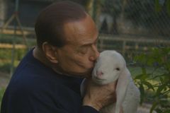 Italský expremiér Berlusconi se ve videu mazlí s jehňaty, snaží se je zachránit před Velikonocemi