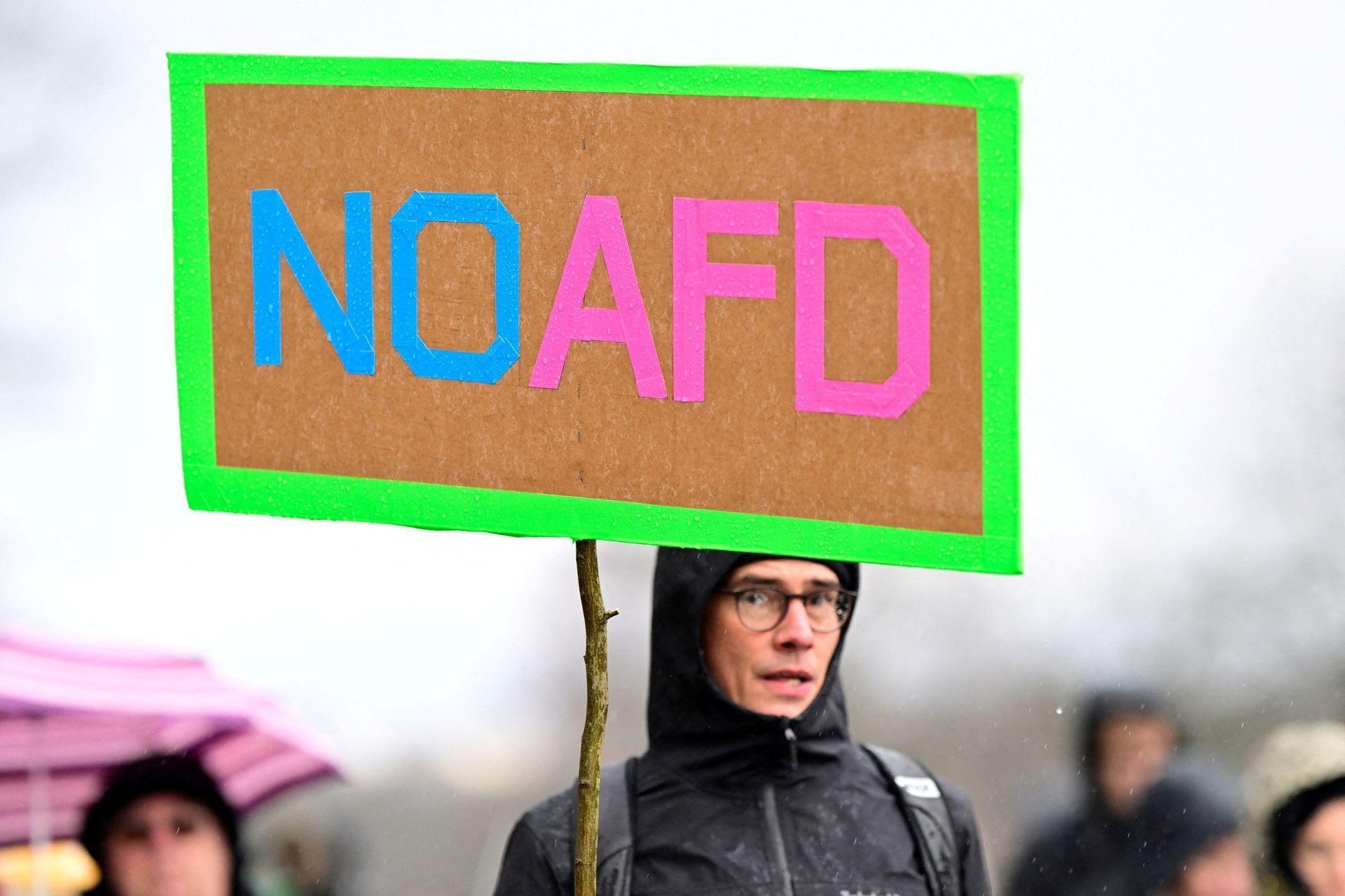 Německo AfD 10