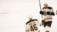 Boston Bruins NHL hokej David Krejčí