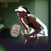 Venus Williamsová v Miami porazila Dateovou-Krummovou
