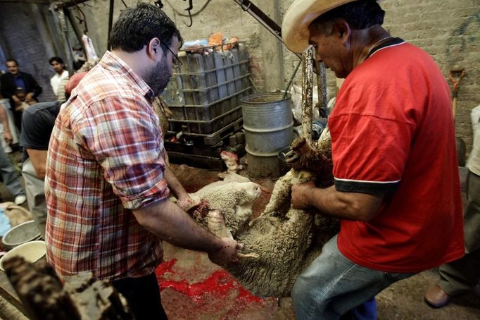 Muslims carry a live sheep before it is slaughtered on the first day of Eid-al-Adha outside Mexico City October 26, 2012. Muslims around the world celebrate Eid al-Adha to mark the end of the Haj by slaughtering sheep, goats, cows and camels to commemorate Prophet Abraham's willingness to sacrifice his son Ismail on God's command. REUTERS/Henry Romero (MEXICO - Tags: RELIGION) Published: Říj. 27, 2012, 12:51 dop.