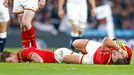 Liam Williams and Dan Biggar of Wales lie injured