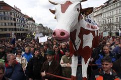 Čeští farmáři jsou na tom s mlékem nejhůře v Evropě
