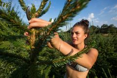 Prodej vánočních stromků v létě. Plantáž na Prostějovsku zkouší neotřelý byznysmodel