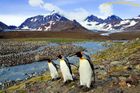 Foto: Tučňáci v ohrožení. Atlantikem míří k jejich obřím jeslím ledový kolos