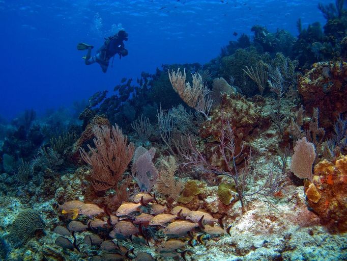 atol u ostrova Cayman Brac, Kajmanské ostrovy