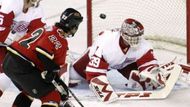 Daymond Langkow z Calgary (v červeném) dává gól do sítě brankáře Detroitu Dominika Haška. Vlevo je bek Red Wings Niklas Krönwall.