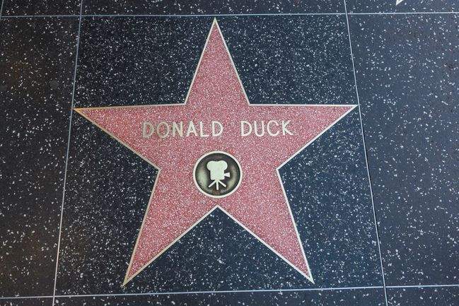 Donaldova hvězda na hollywoodském chodníku slávy