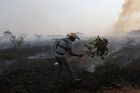V Amazonii v říjnu výrazně přibylo požárů, plameny ničí i největší mokřad světa