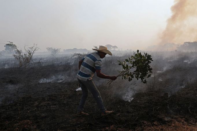 V Brazílii hoří největší mokřad světa Pantanal.