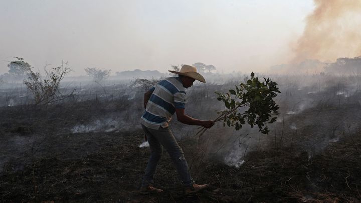 V Amazonii v říjnu výrazně přibylo požárů, plameny ničí i největší mokřad světa