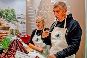 Ta naše kampaň česká, ta je tak krásná, tak hezká aneb Malá předvolební nakládačka