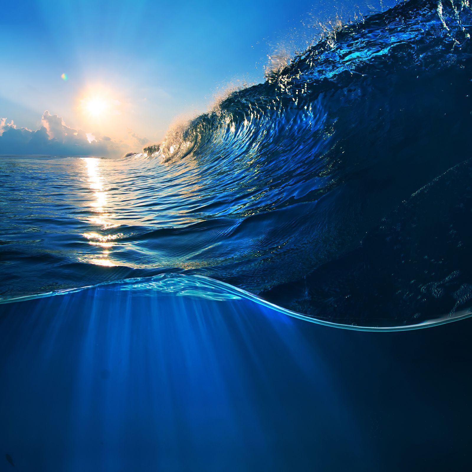 CODAGALERIE / Světový den oceánu / Shutterstock / 14