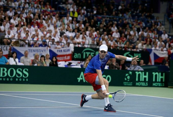 Davis Cup, finále Srbsko-ČR: Tomáš Berdych