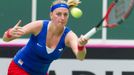 Fed Cup, ČR-Francie: Petra Kvitová