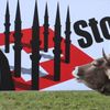 Švýcarsko minarety referendum