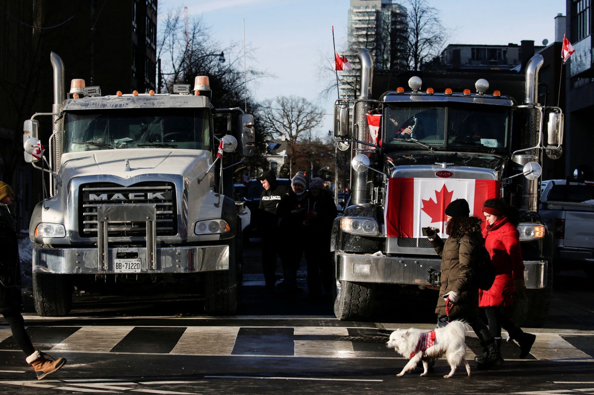 protest, kanada, covid, koronavirus, Ottawa, Vancouver
