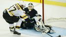 Pittsburgh Penguins - Boston Bruins