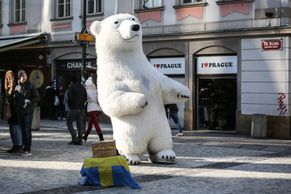 Foto: Obří medvědi v centru Prahy jsou ostuda, říká starosta. Vyhnat je zatím neumí