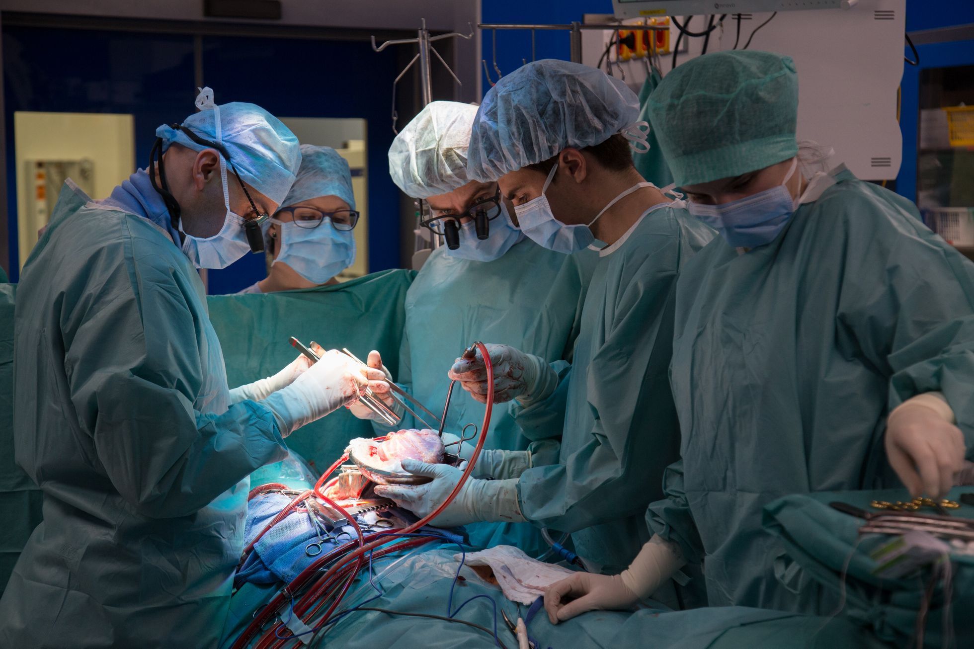 IKEM - 35 let od první transplantace srdce