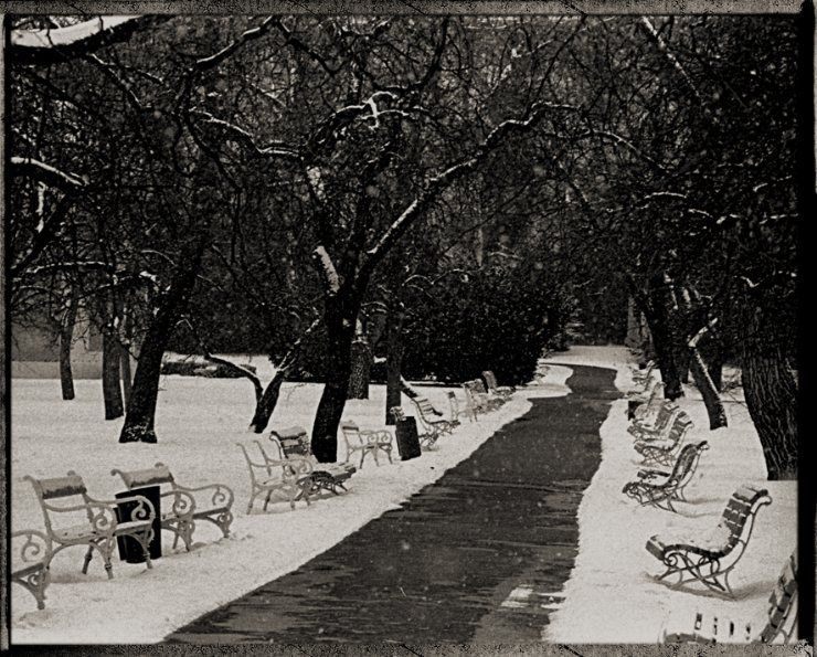 Robert Vano - Winter garden