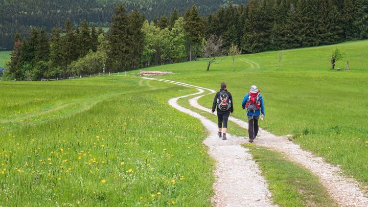 Po chladném víkendu bude až 24 stupňů. Pak se znovu ochladí a občas i zaprší