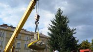 Hradecká radnice na zhotovení pomníku a úpravu náměstí vyhradila 3,5 milionu korun. Na náměstí Svobody byl instalován v listopadu roku 2010.