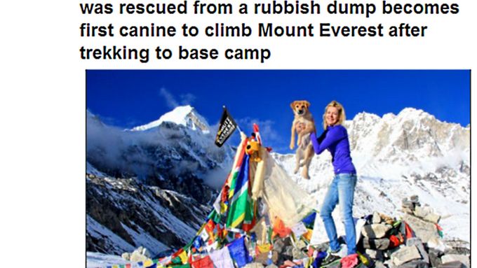 Joanne Lefsonová a její pes Rupee v základním táboře pod nejvyšší horou světa.