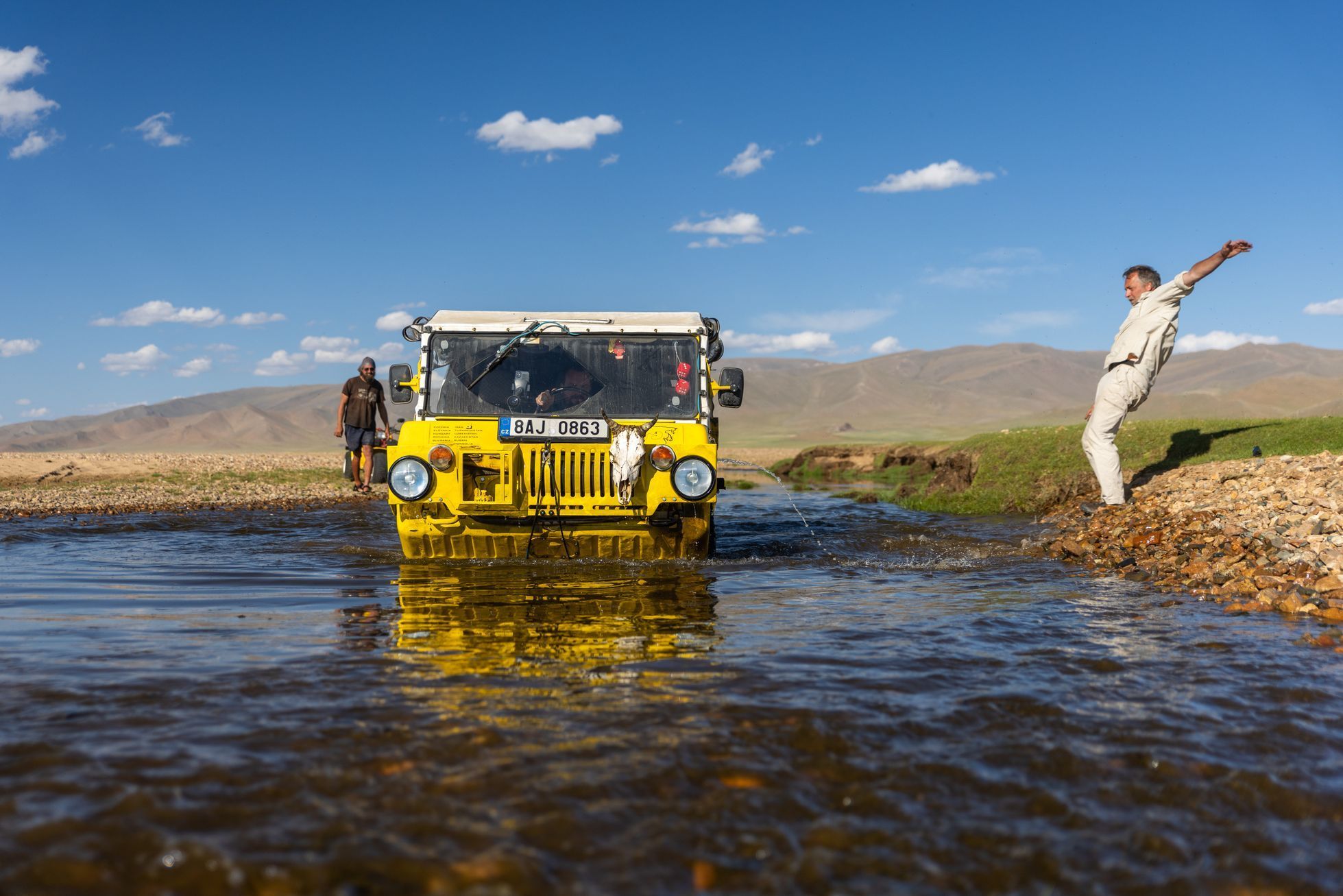 Žlutá žába pluje