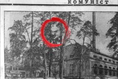 Lidi vyděsil obličej v korunách stromů. Archivy KGB odkrývají temnou minulost
