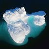 Fotogalerie / Tání ledovců a výzkum dopadů globálního oteplování na Grónsku / Reuters / 1